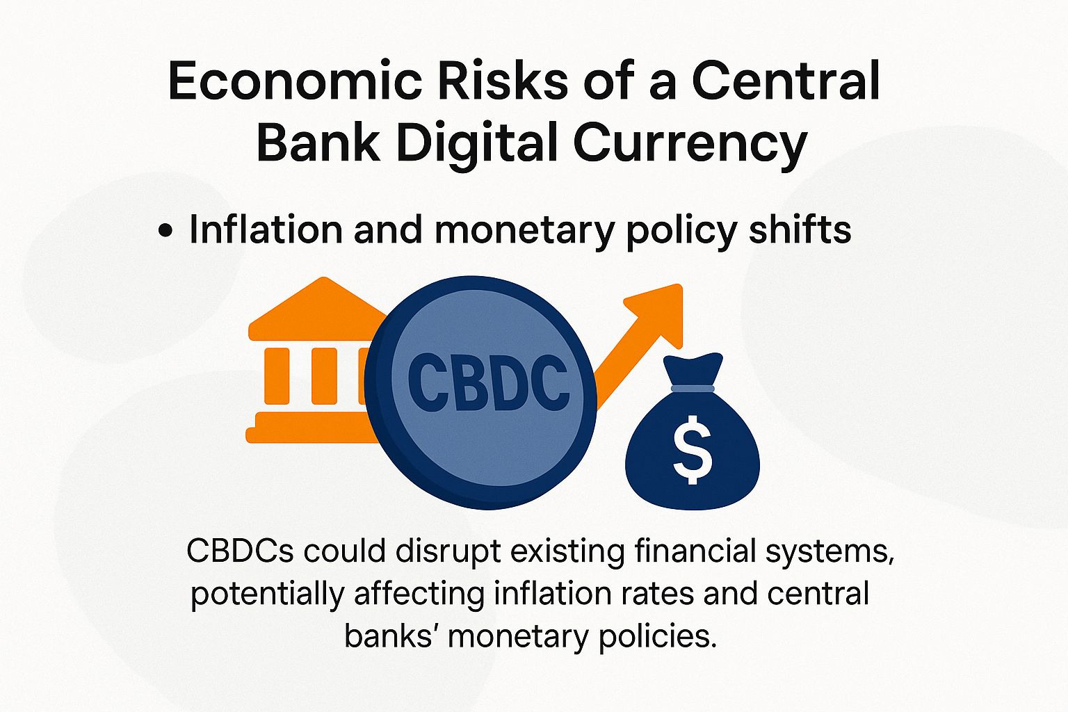 Economic Risks of a Central Bank Digital Currency